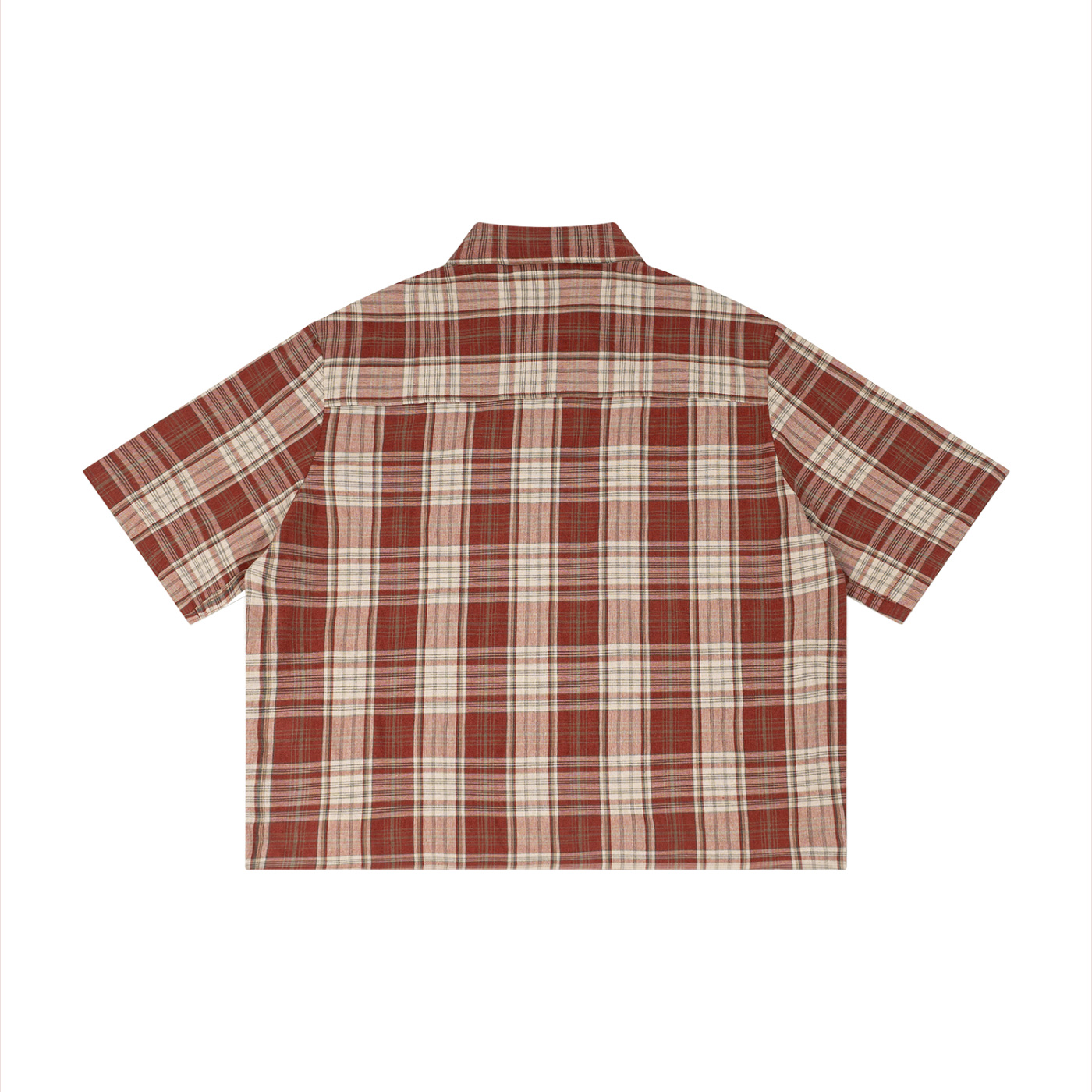 striped collored shirt