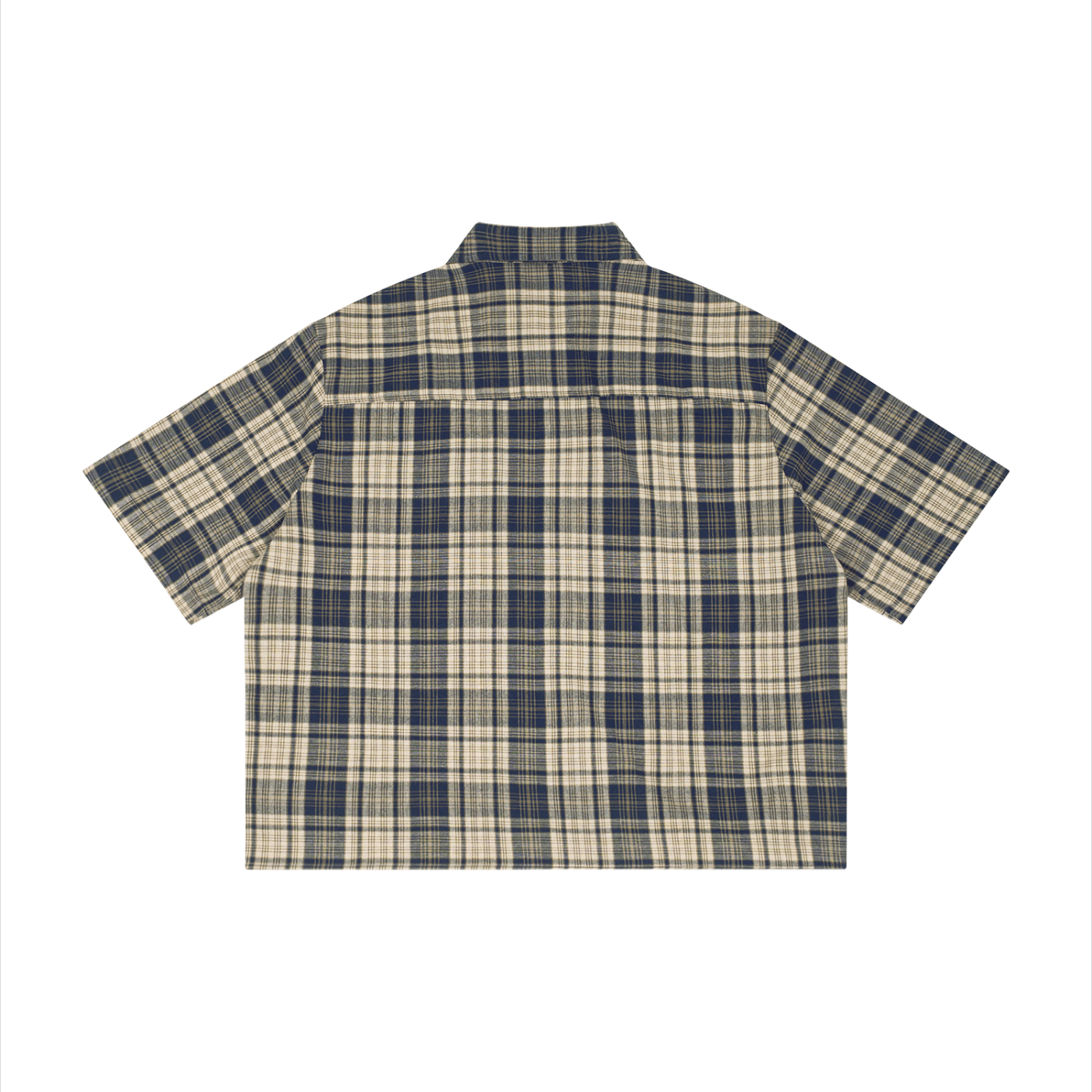striped collored shirt
